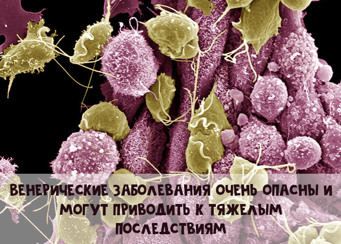 Calorizator.ru