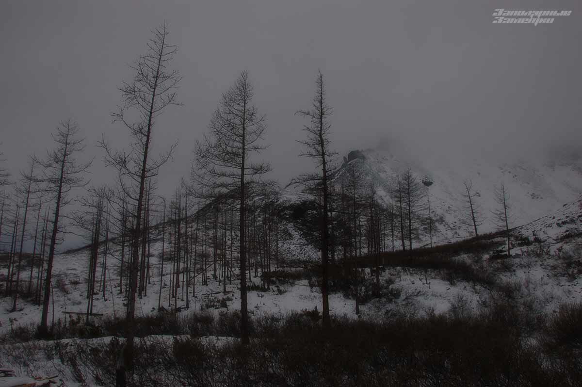 Черный, белый и оттенки серого, вот и все что остается от лета поздней осенью