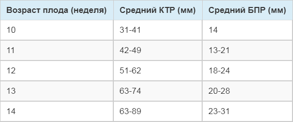 УЗИ беременности 1-го триместра PapyrusMed