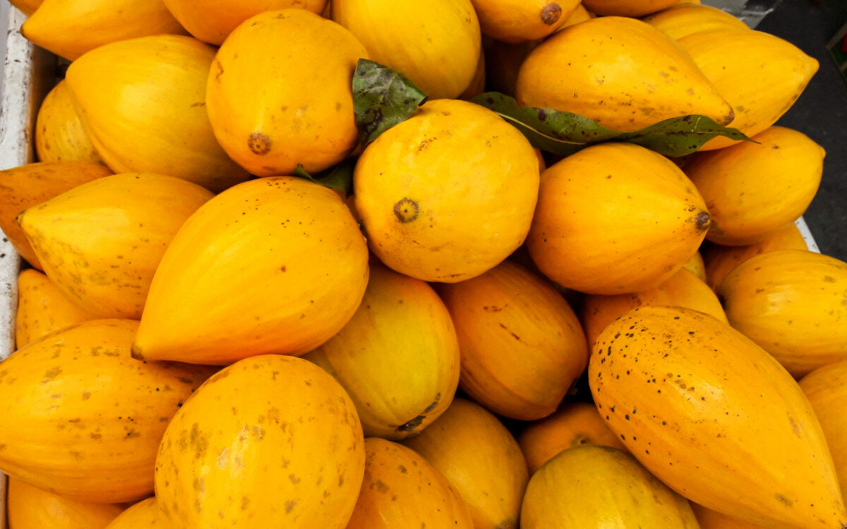 Желтые фрукты названия. Канистель яичный фрукт. Желтый фрукт Тайланд. Желтый продолговатый фрукт. Экзотические фрукты желтого цвета.