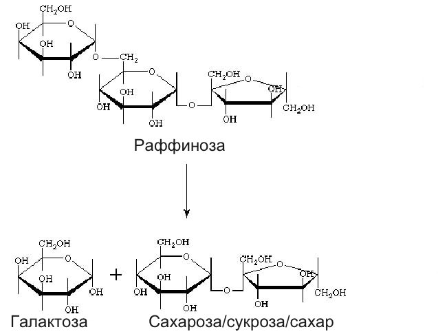 Α-D-галактопираноза. Альфа д галактопираноза. Галактоземия биохимия. Схемы по биохимии.