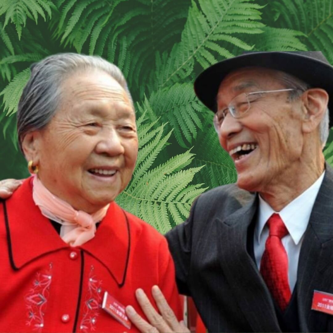 Долголетие китая. Долголетие японцы Окинава. Японские долгожители Окинава. Остров Окинава долгожители. Жители Окинавы.