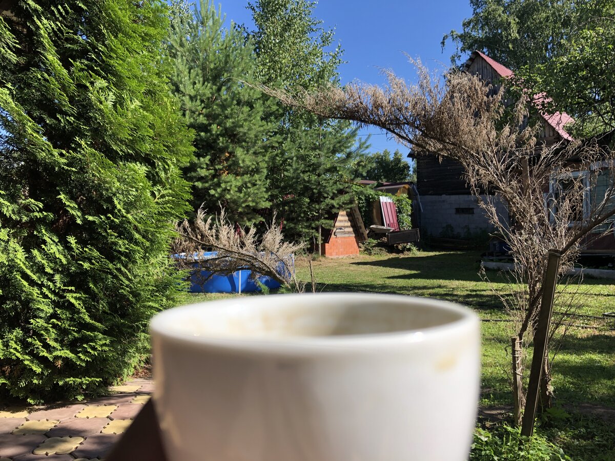 У себя на даче.