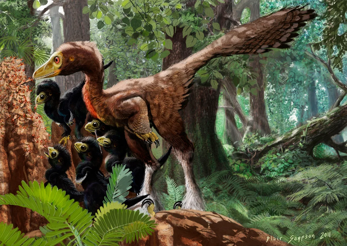 Топ-5 самых умных динозавров 