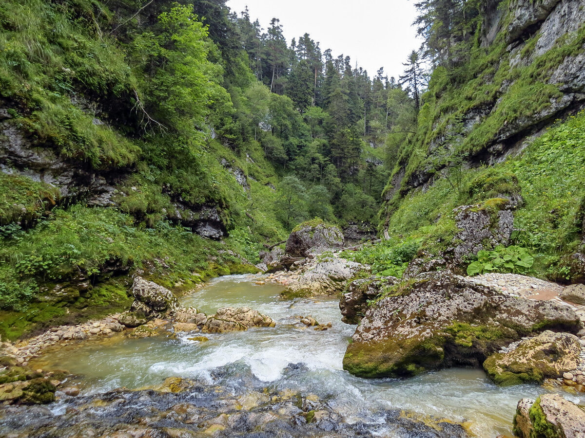 Погода в курджипской на 10 дней точный. Верхне Курджипское ущелье. Курджипская Адыгея. / Адыгея ст Курджипская. Живопись Курджипское ущелье.