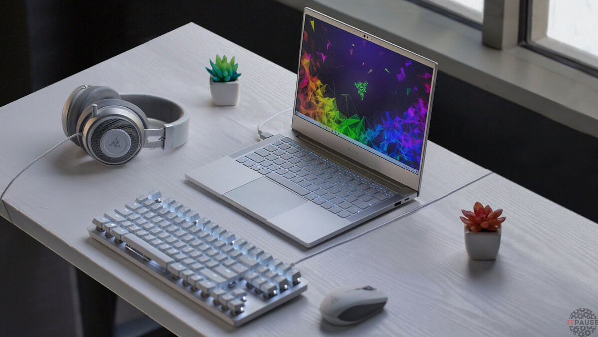 Фото с официального сайта Razer