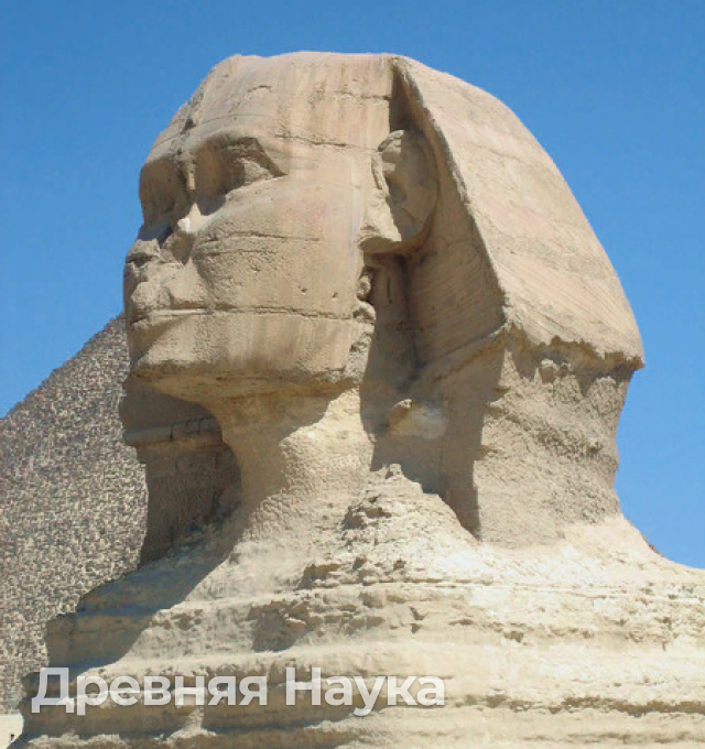 Сфинкс вблизи