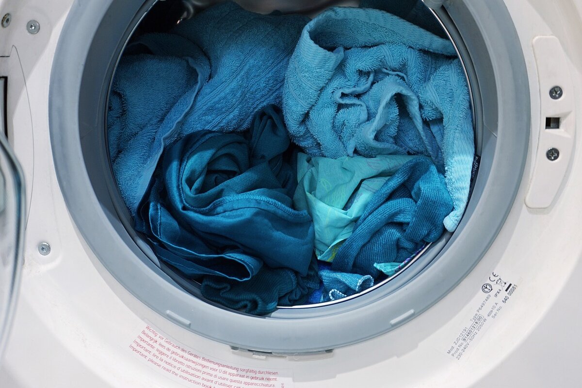 Фото: pixabay.com