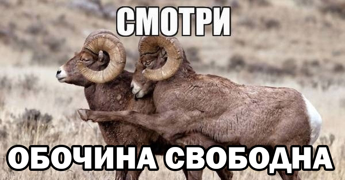 Точно подметил автор фото -  https://epicblog.net/35-useful/obochechniki.html 