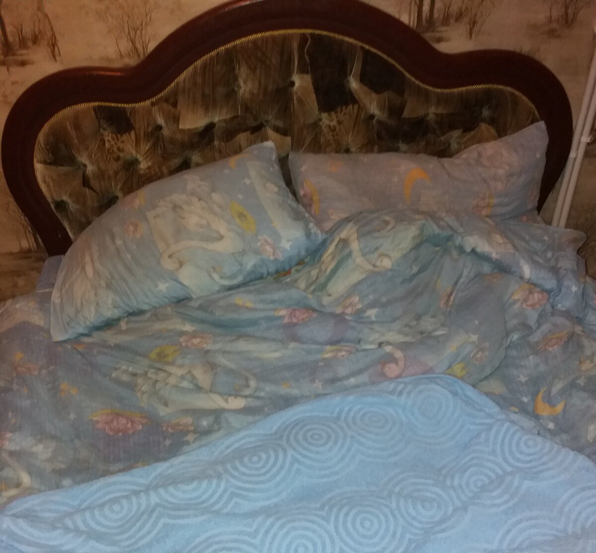 Фото из моего альбома