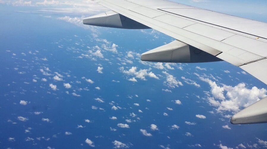 Крылья есть не только у самолёта. Источник: pixabay.com