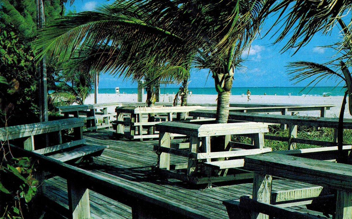 Солнце, пальмы и песок