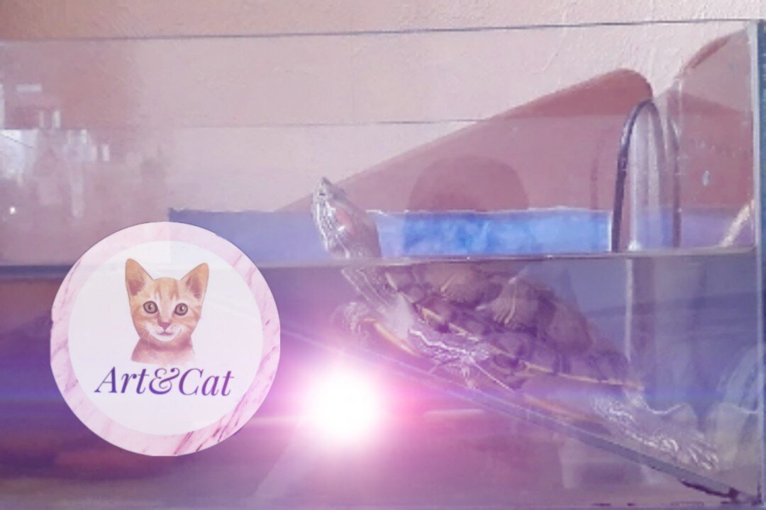 Сейчас