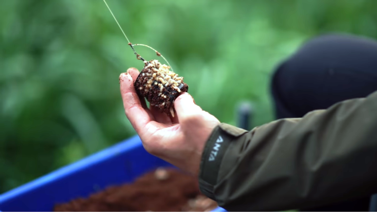 Закорм, больше мяса