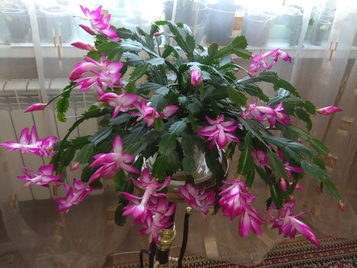 Фото: Татьяна Игнатьева