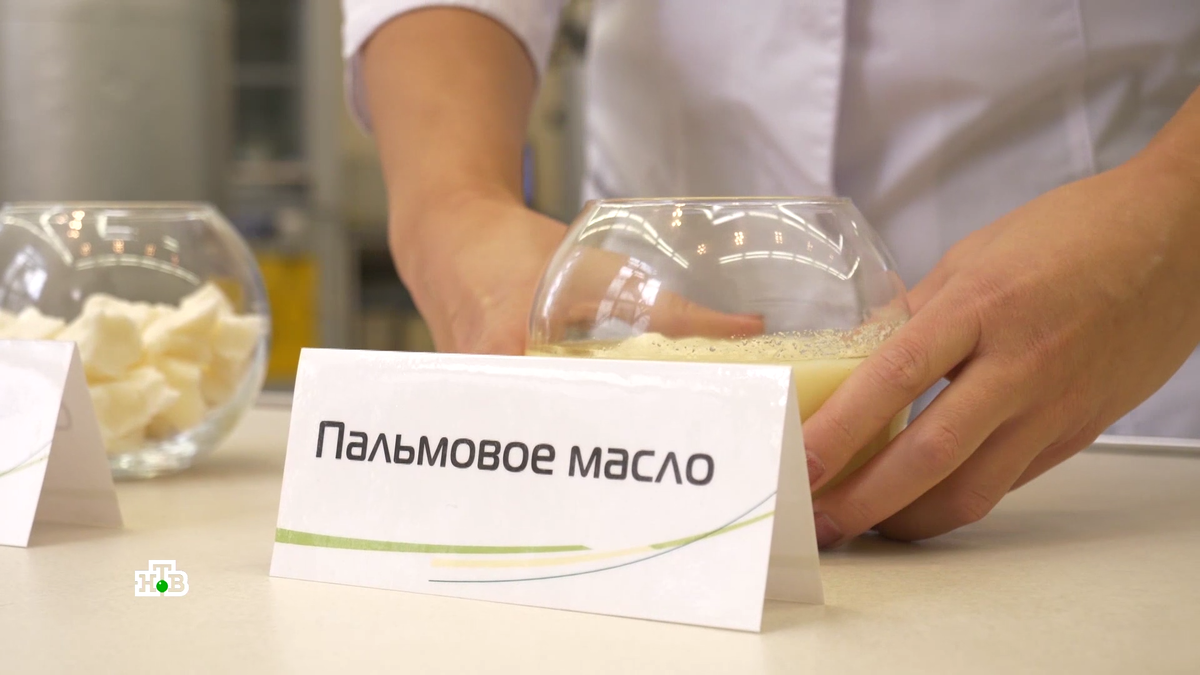 Зачем в продукты добавляют пальмовое масло | НТВ: лучшее | Дзен