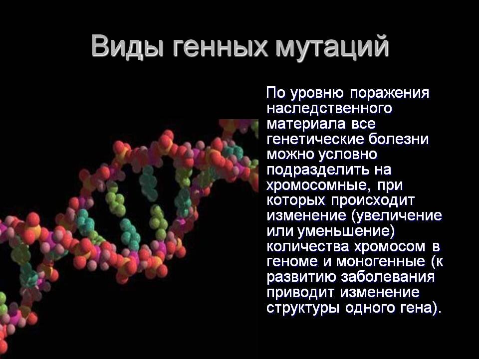 Проект на тему мутации и их значение