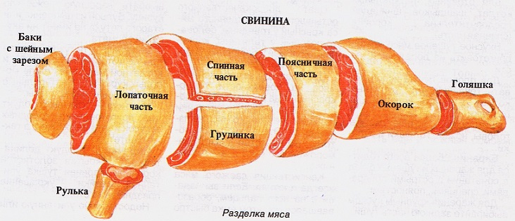 Изображение взято с сайта https://willcomfort.ru.