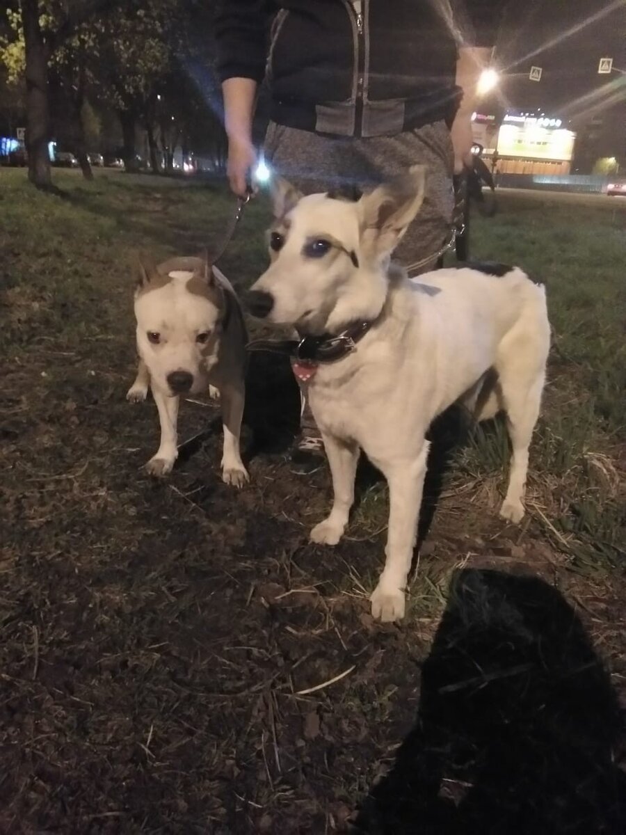 Алиса, выпускница приюта солнцево