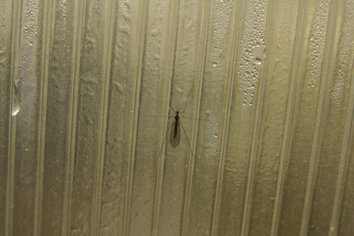 Снято в Краснодаре. На улице -2