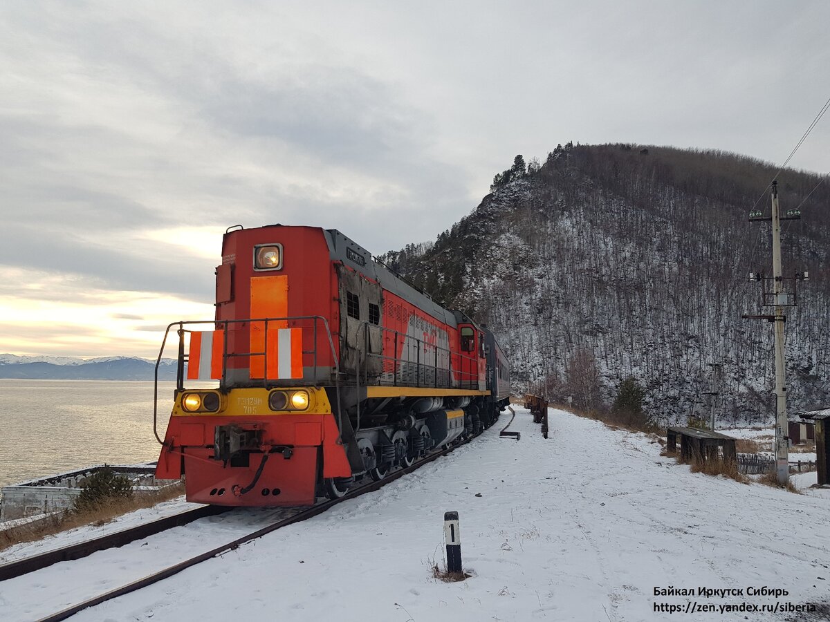 яхрома белый раст электричка фото 90