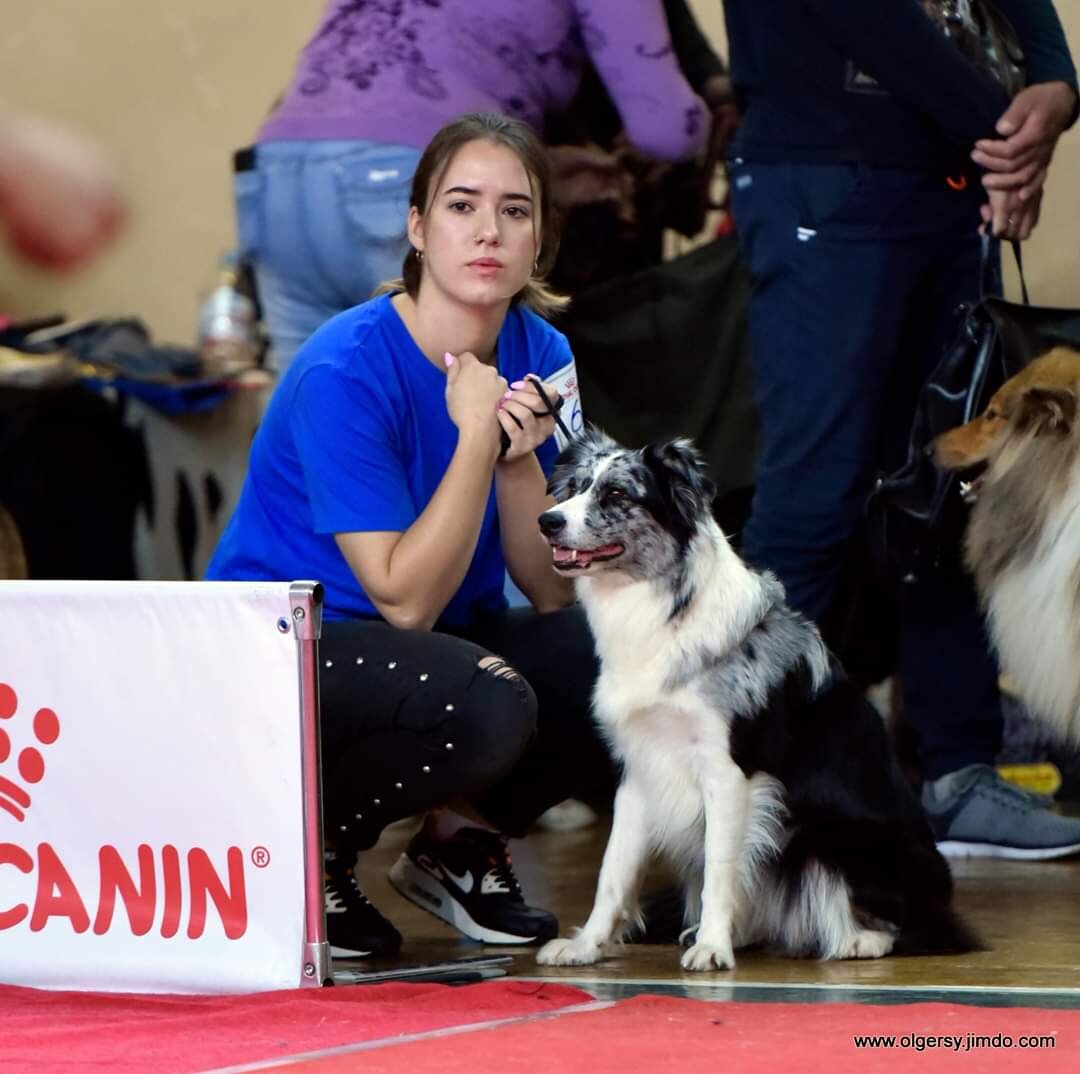 Фото с выставки. Фотограф - я