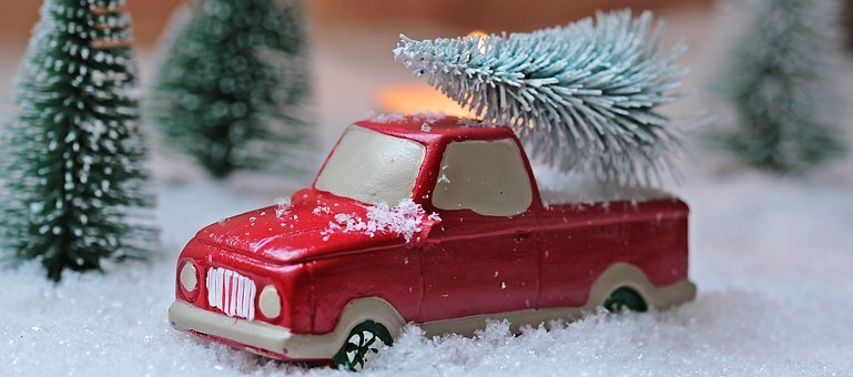 https://cdn.pixabay.com/photo/2016/11/24/14/00/christmas-tree-1856343__340.jpg