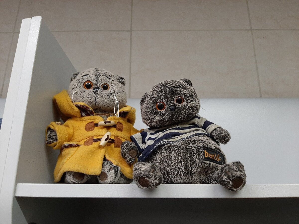 Как сейчас живет и чем занимается знаменитый фигурист Александр Смирнов ...