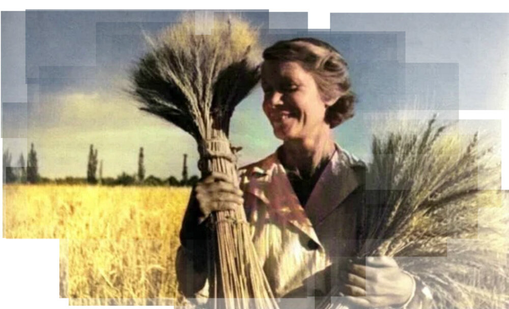 Колхозница. 1935-1939 гг. Автор: Макс Пенсон. Фотография использована в качестве иллюстрации.