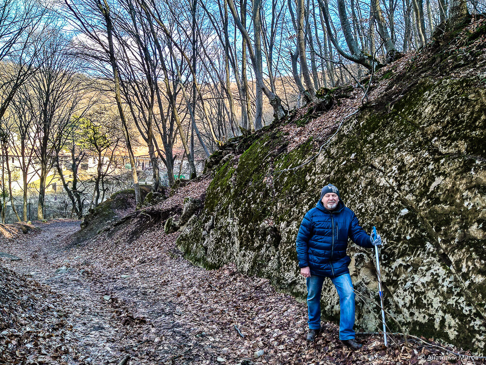 За подснежниками в монастырский лес