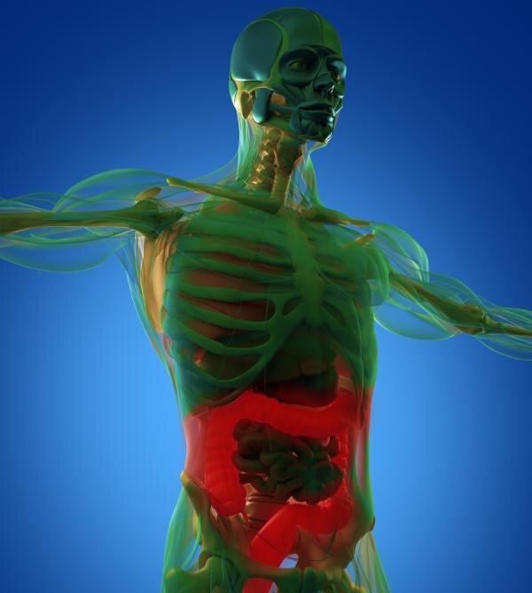 iStockphoto.com