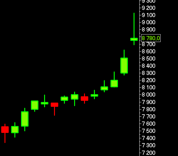 Полюс - моя защитная инвестиция. Дневной график.
