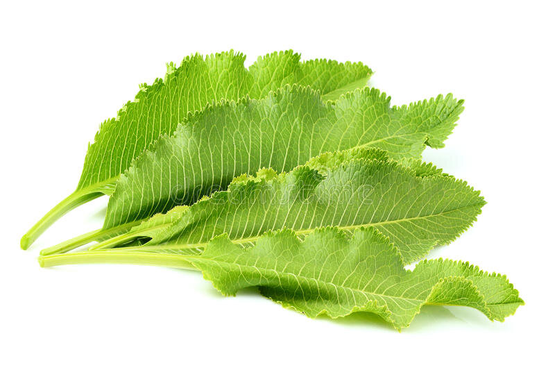 Фото с сайта ru.dreamstime.com