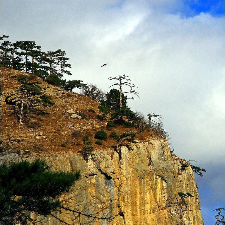 Ялтинский Горно Лесной заповедник в Крыму