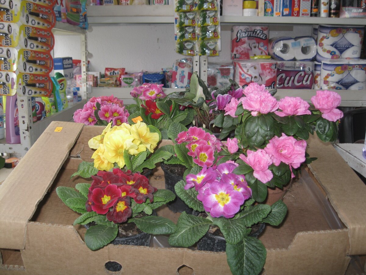 Наш сельский магазин .