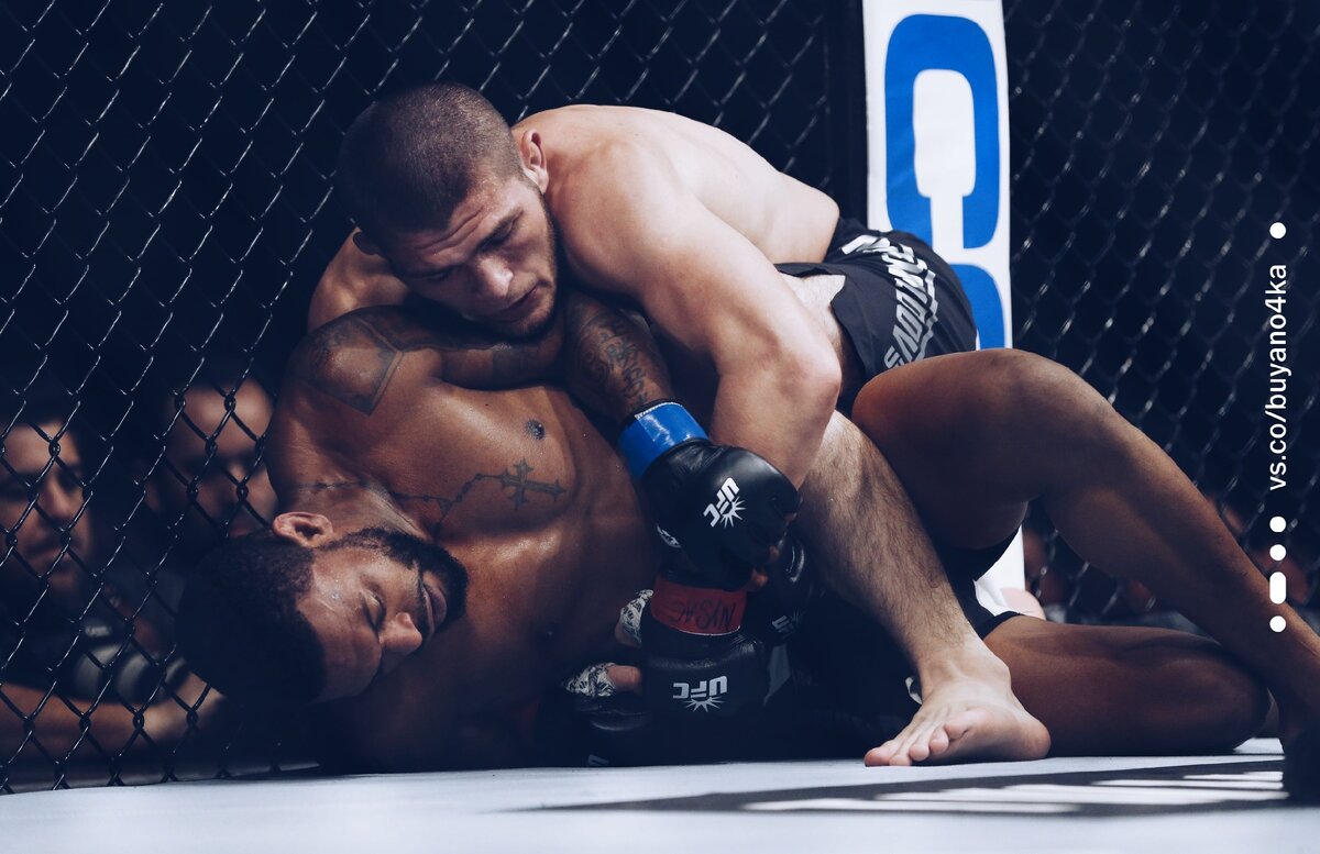 Фотография взята из открытых источников