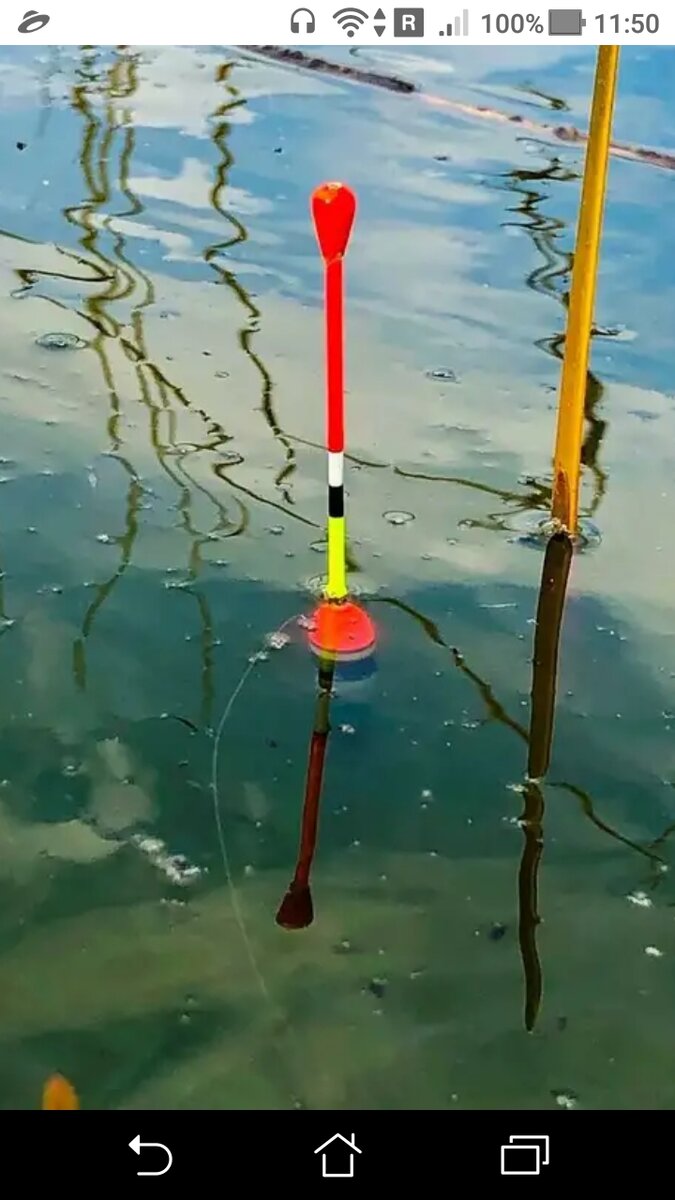 фото Как закинуть поплавок далеко с берега - вес 1 грамм