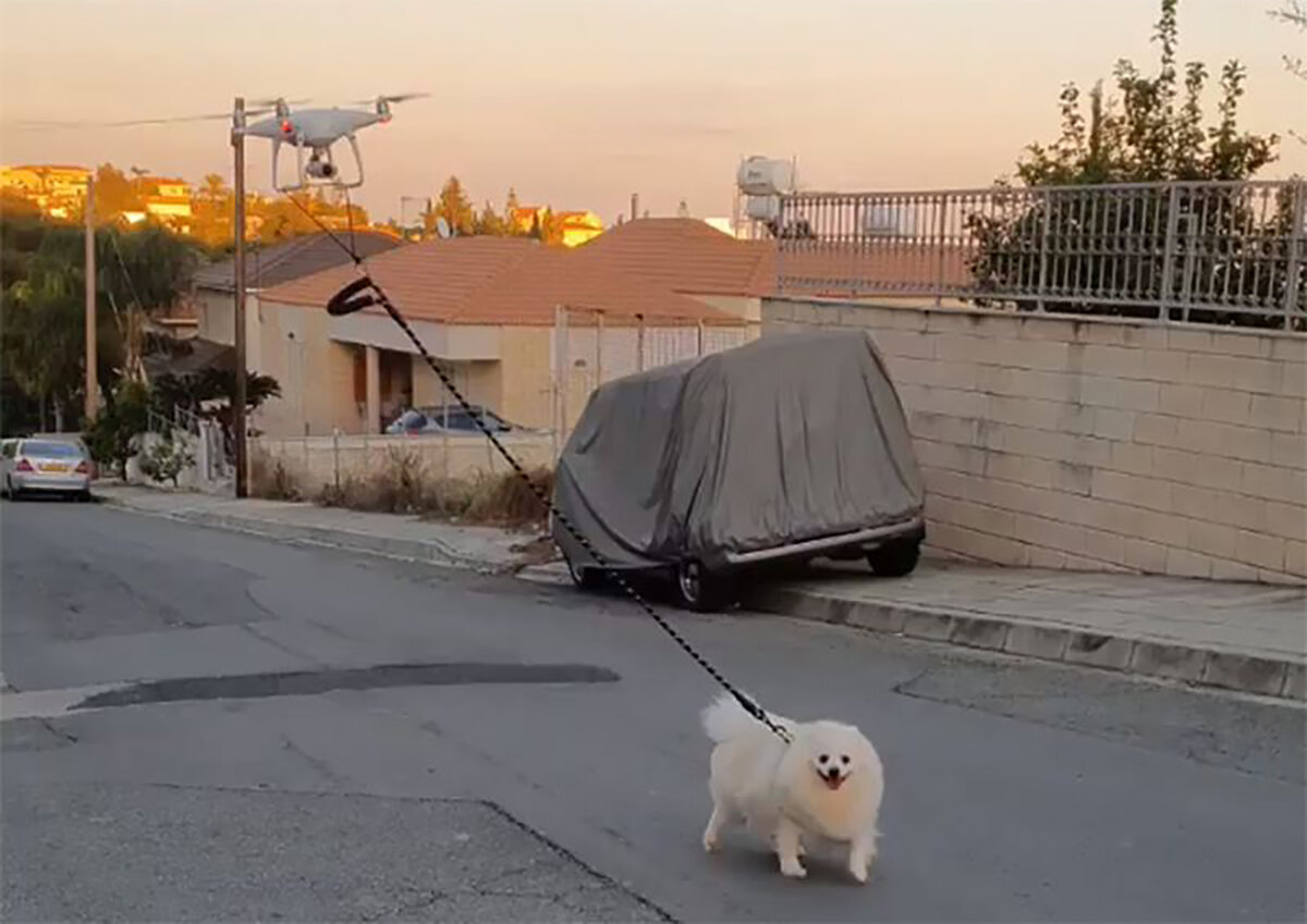 Дрон выгуливает собаку