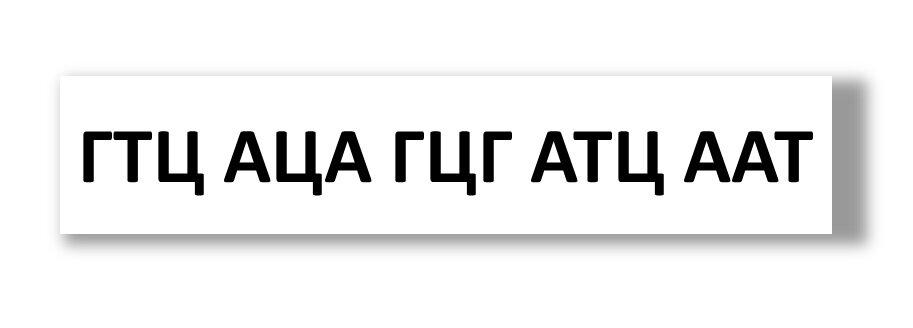 Скованные двойной цепью... Зачем ДНК нужна вторая цепь?