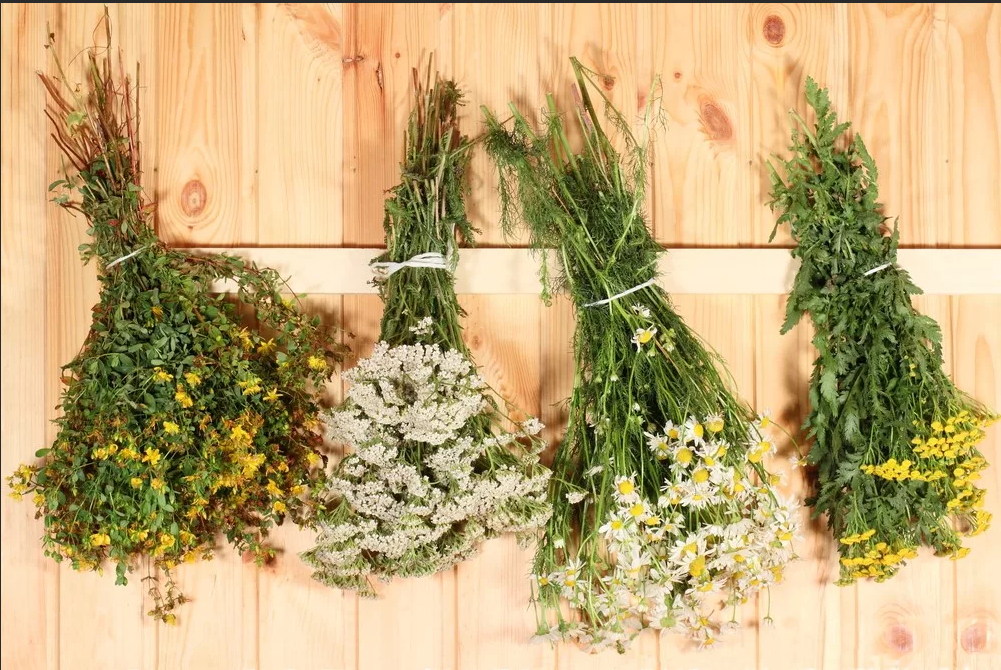 Веник травяной. Банный веник из травы. Веник для бани. Высушенная черемуха. Какие травы для бани использовать.