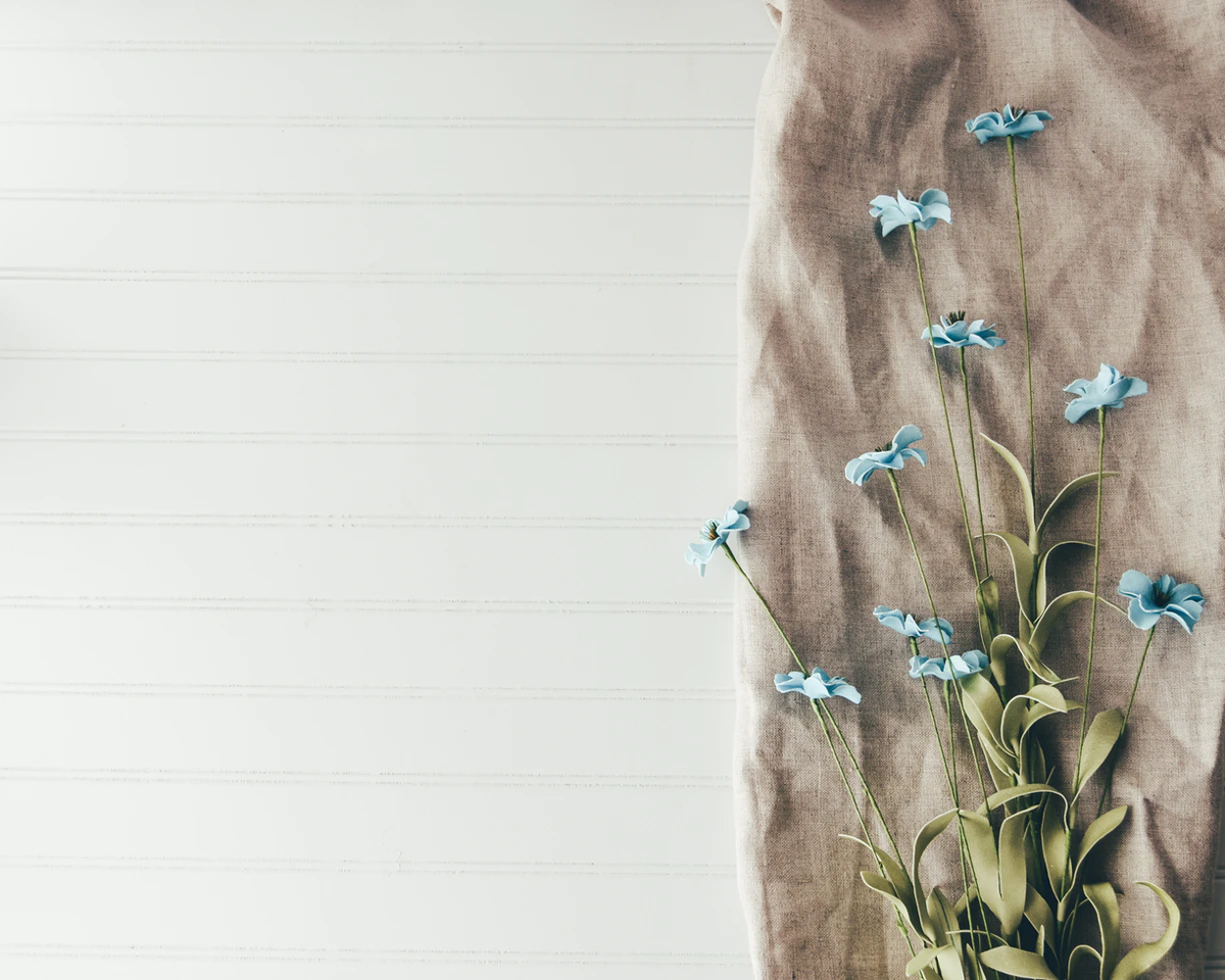 Unsplash. The internet’s source of freely usable images.