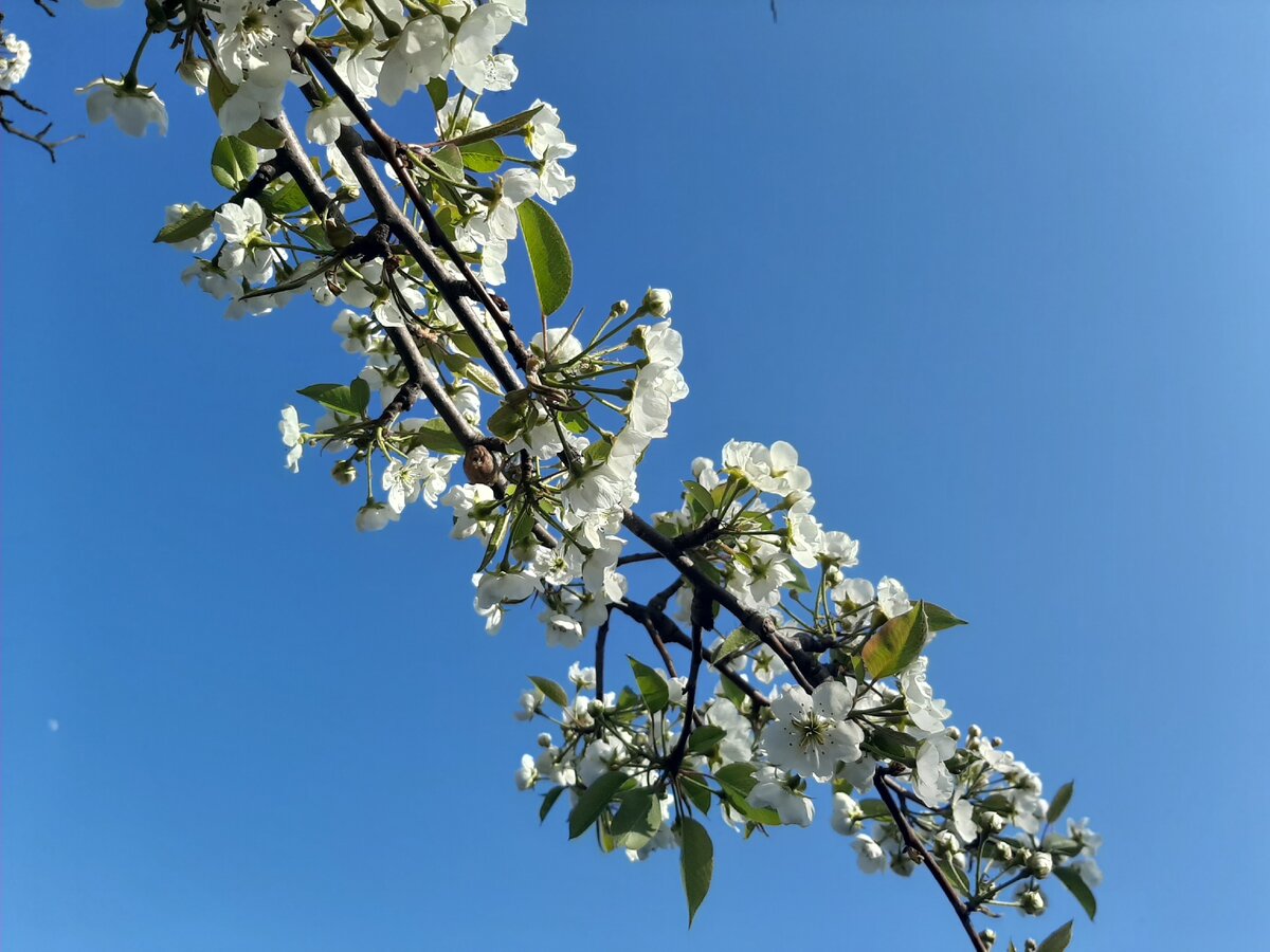 Красота природы 