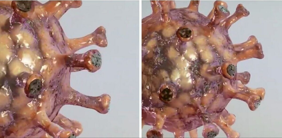 3D модель коронавируса 