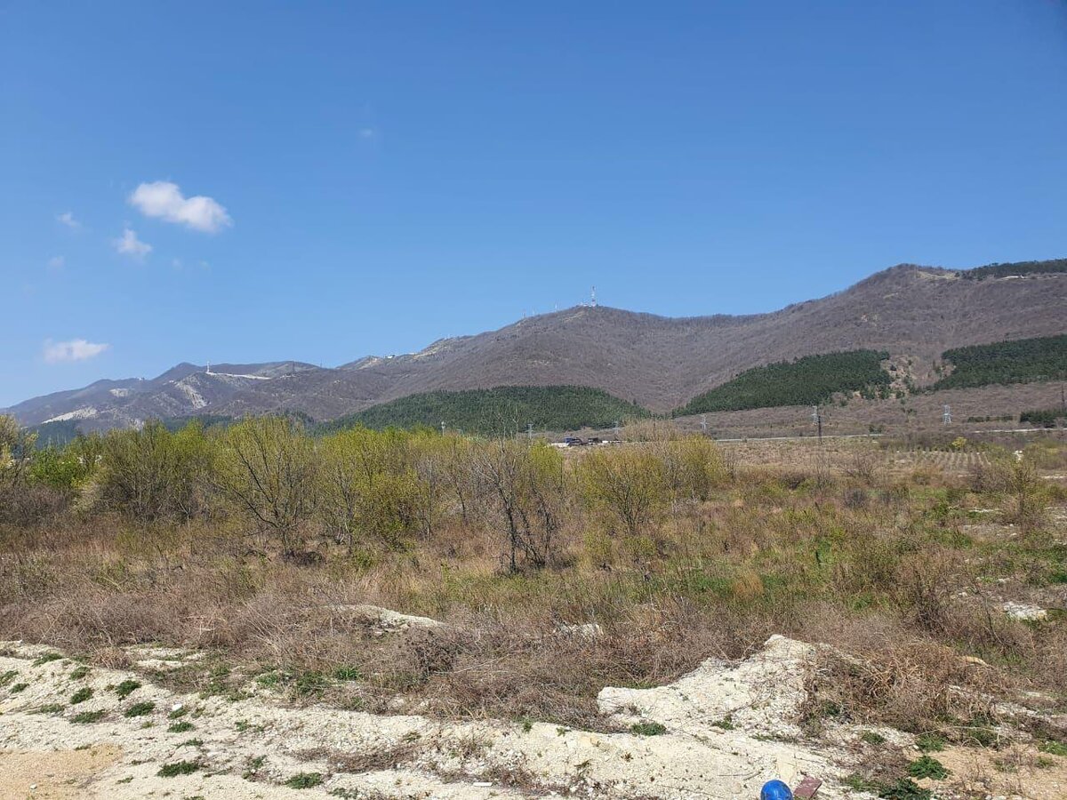 Новое место прогулок 