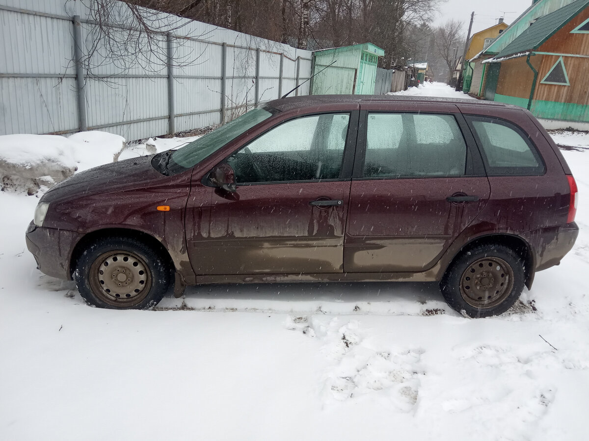 Рабочая лошадка