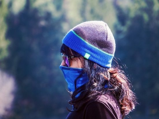 Фото - pixabay.com