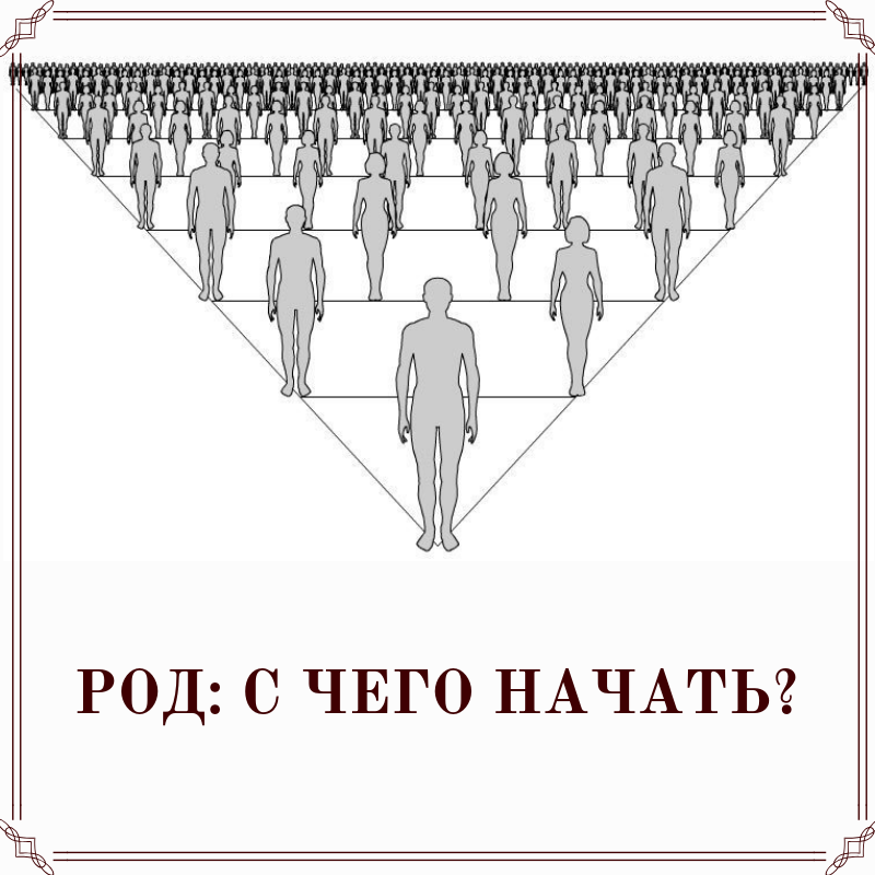 Как выглядит род человека