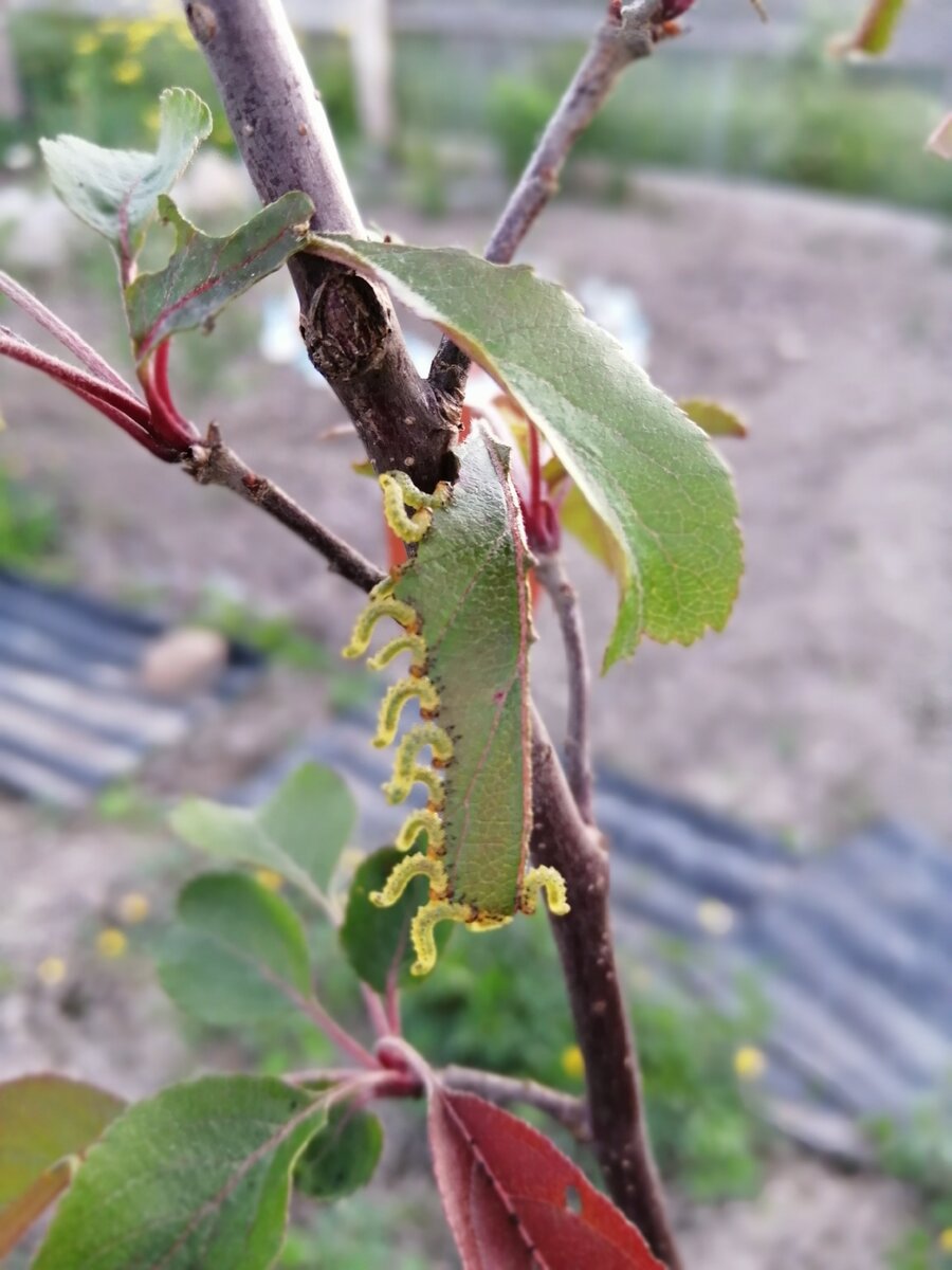 Фото автора.