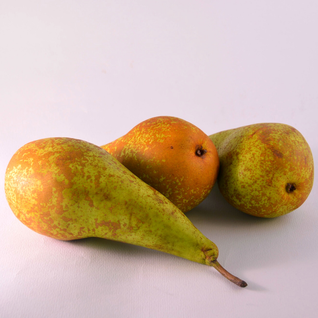 Груша конфернеция. Фото: pixabay.com