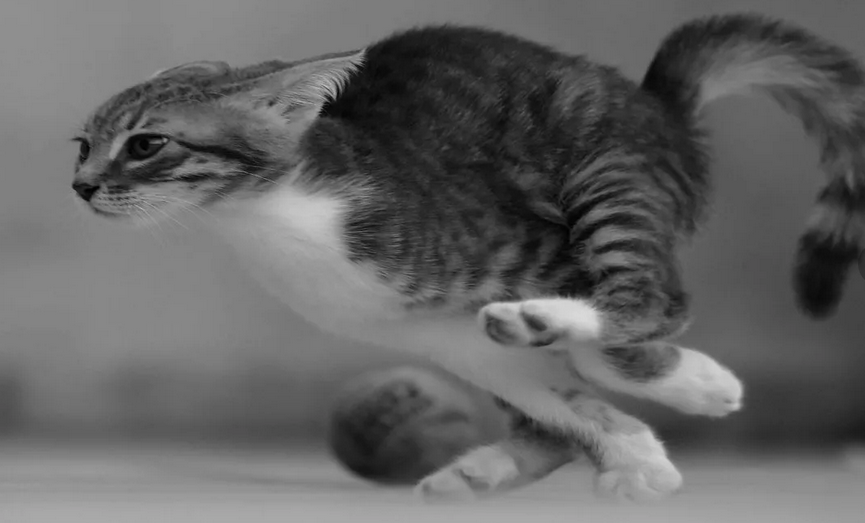 Фото с сервера Яндекс.Картинки